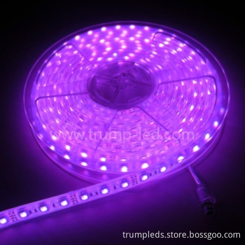 IP68B PU 24v Waterproof SMD 5050 LED Ribbon
